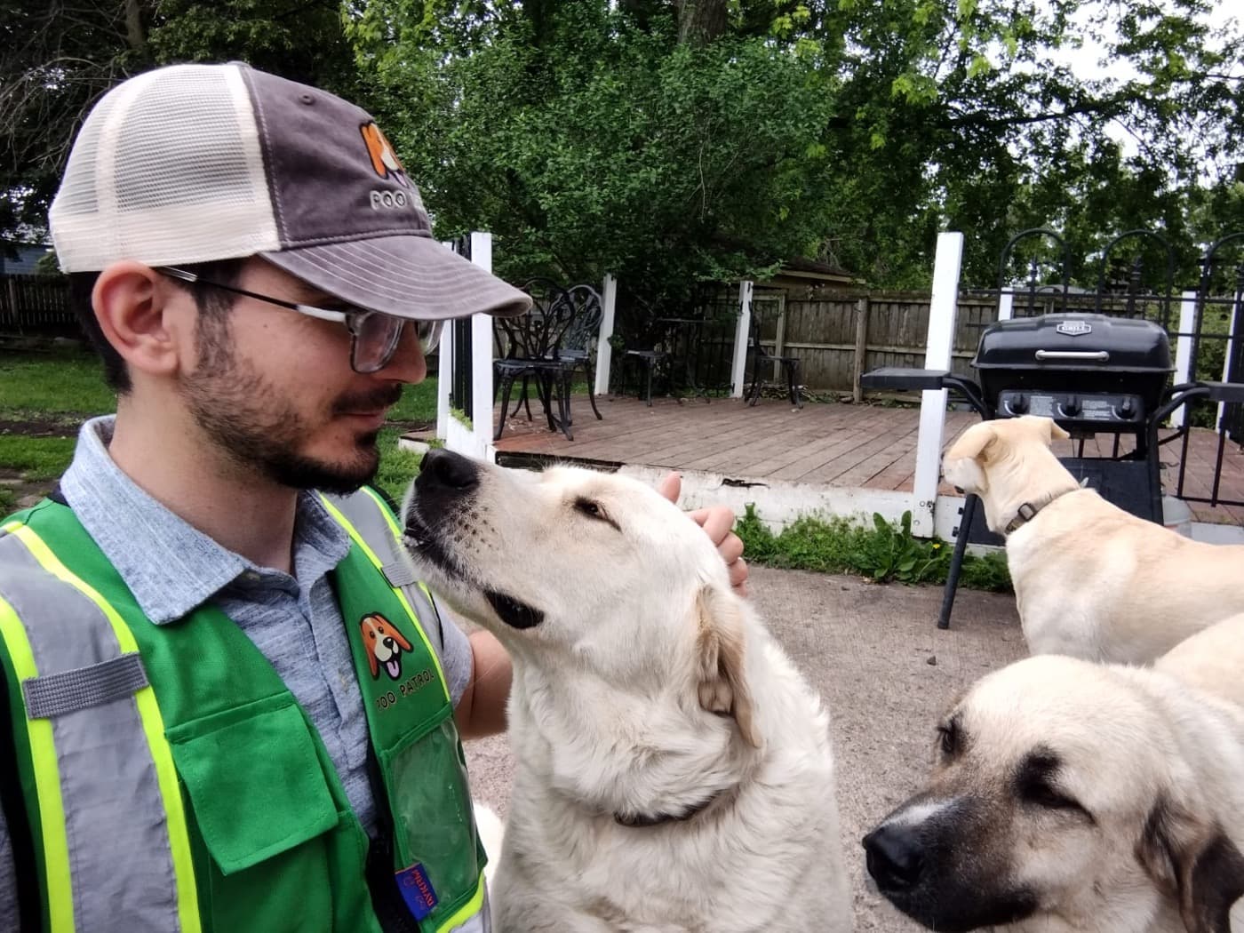 Summer Heat Safety for Dogs: An Eastern Iowa Guide