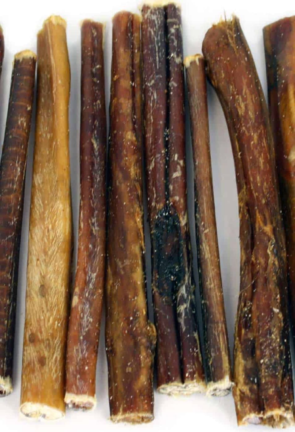 What About Bully Sticks?