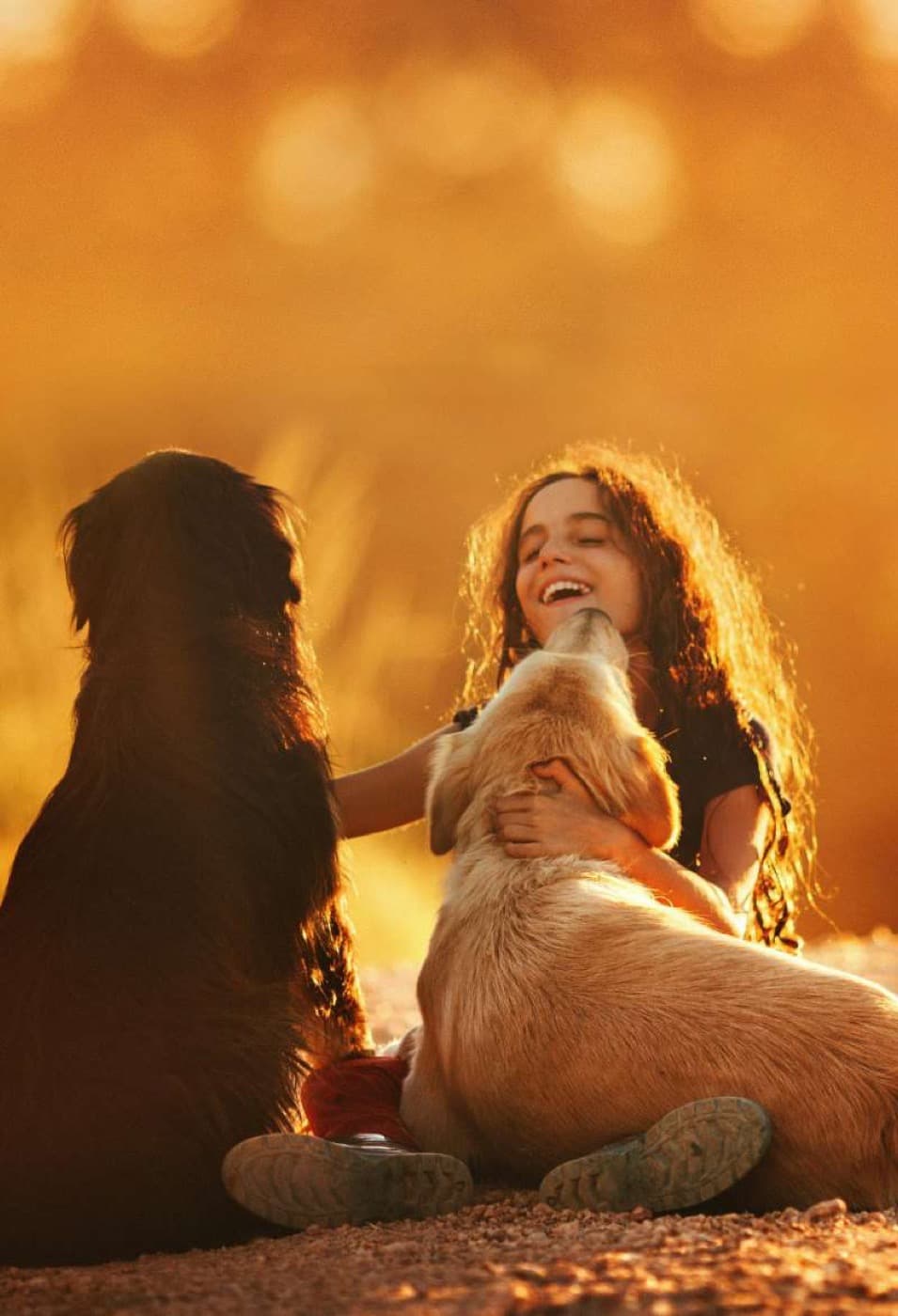 Dogs Can Strengthen Your Kid's Immune System