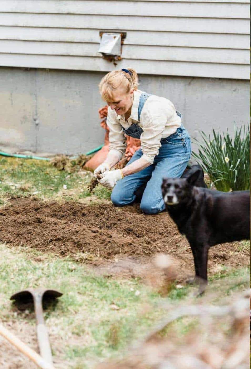 The Ultimate Guide to Preventing Dog Pee from Killing Your Grass