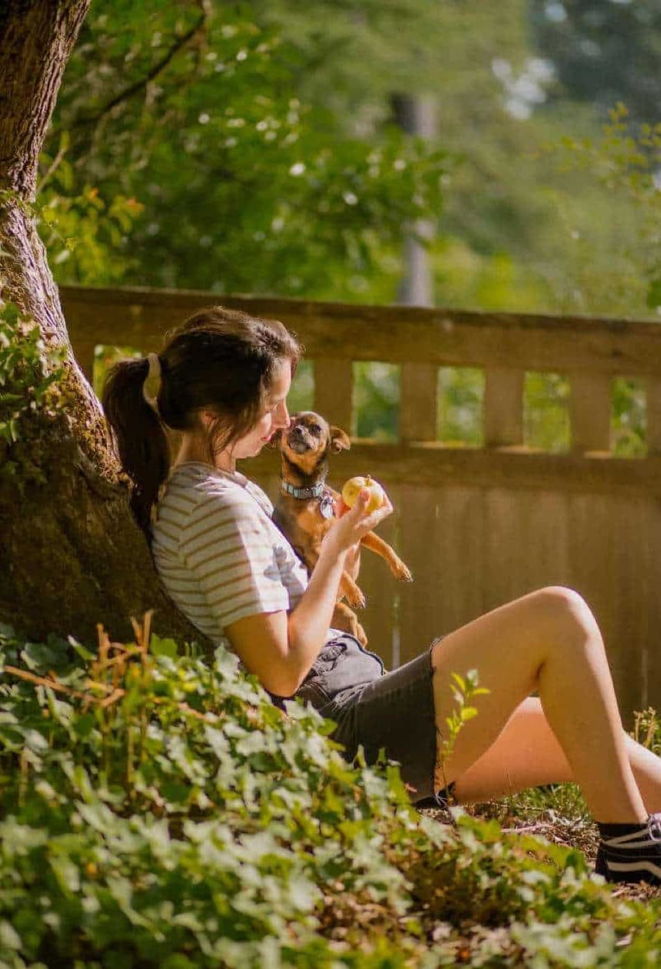 The Comprehensive Guide to Stop Your Dog from Eating Poop