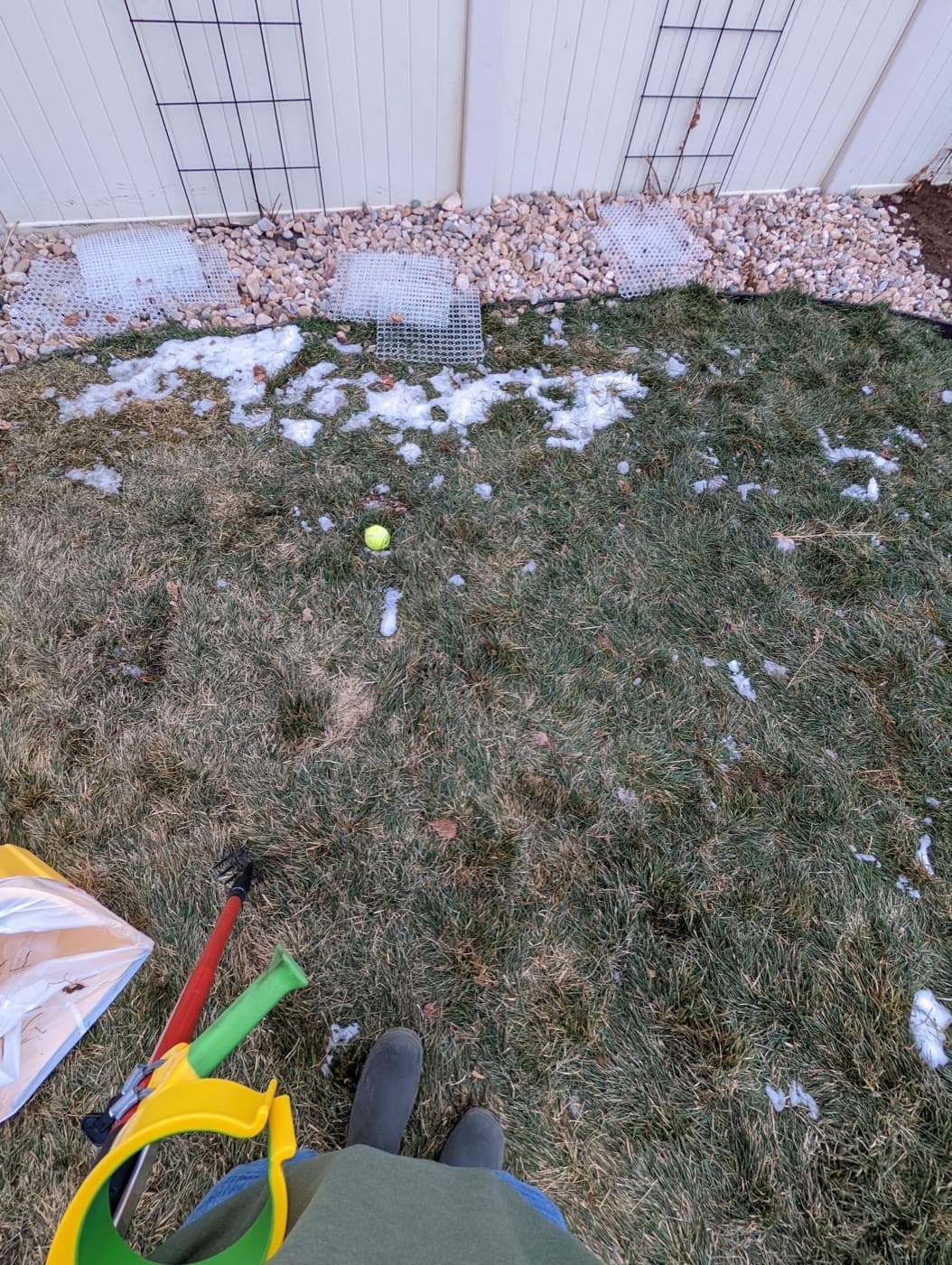 The Spring Thaw Survival Guide for Iowa Dog Owners