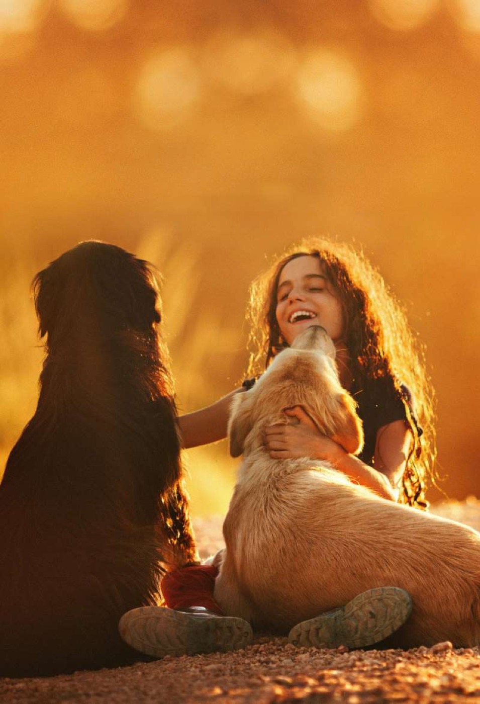 Dogs are good for your immune system and for kids or children