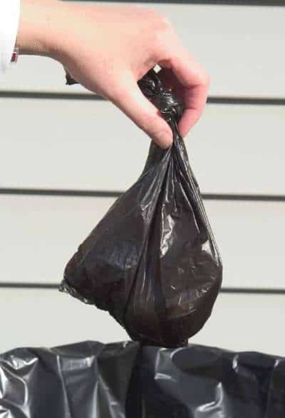 Dog poop harms yard why you should hire a pooper scooper service for dog waste.
