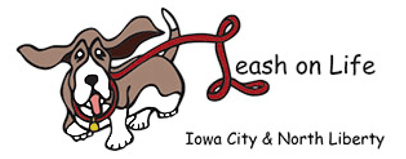 Doggy Daycare Iowa City, IA