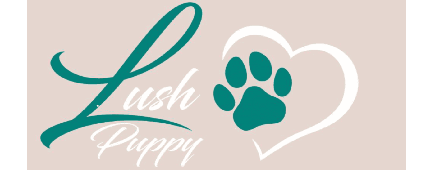 Doggy Daycare Tiffin, IA Cedar Rapids, IA